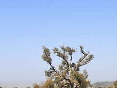 -良渚古城遗址公园