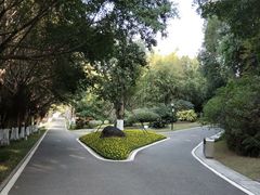 -玉树公园