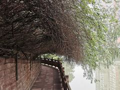 -成都市活水公园