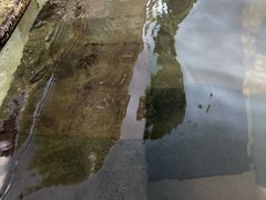 -夏津德百度假村温泉