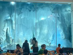 -帝企鹅自助餐厅•儿童岛•真企鹅(长隆企鹅酒店)