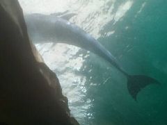 -波塞冬旅游度假区