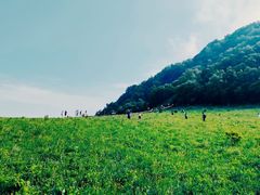 -白草畔自然风景区