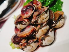 血蚶-高佳庄·舟山海鲜(海景旗舰店)