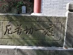 -韬光茶庵