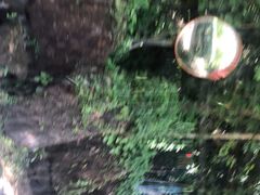 -呀诺达热带雨林