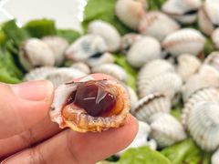 血蛤-渔满仓海鲜渔家(象山二店)