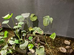 -邈墨茶馆(凤起路店)