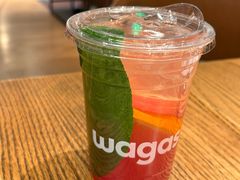 -Wagas沃歌斯(枫蓝国际店)