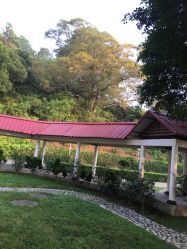 -爱帝宫月子中心(罗湖别墅院)