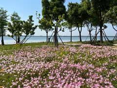 -阳澄湖半岛旅游度假区