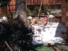 -昆明动物园