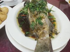清蒸石斑鱼-揭阳钟记小食(福田新村店)