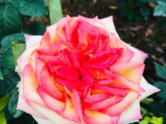 -人民公园(罗湖区)