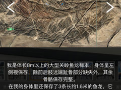 -贵州省地质博物馆
