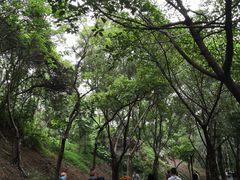 -广州雕塑公园