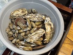 -晓伟海鲜家常菜