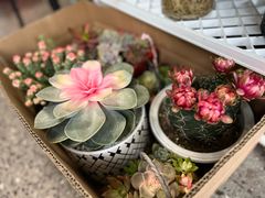 -FEI FEI FLOWER鲜花店·气球派对·宝宝宴布置(虹口德必运动Loft店)
