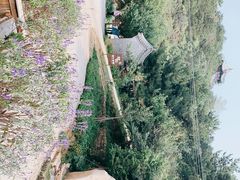 -云峰山自然风景区