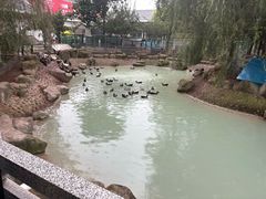 -长春农业博览园