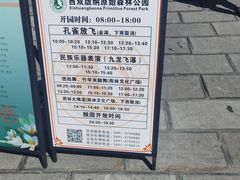 -西双版纳原始森林公园