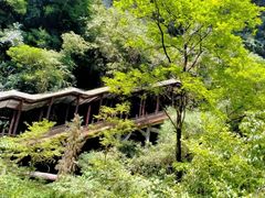 -碧峰峡风景区