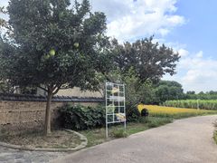 -乌村