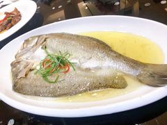 金汤海龙鱼-禧瑞都大饭店(吊桥路店)