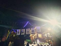 -猫咪博物馆(顶澳仔猫街店)