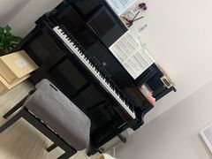 -刘健艺术钢琴学校·专注钢琴教育25周年(徐家汇校区)