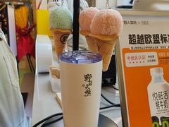-野人先生现做冰淇淋(北京悠唐购物中心店)