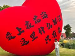 -荷兰花海