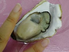 -叶存利海鲜大馅饺子(东戴河止锚湾店)