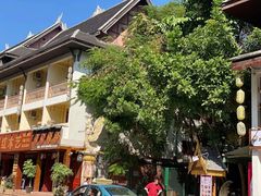 -西双版纳原始森林公园