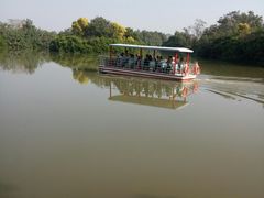 -大湾区中央湿地公园