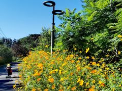 -长春公园(普阳街道)