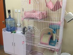 -青春加萌照相馆