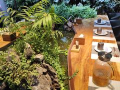 -森味薪火烧•烧鸟居酒屋•日本料理(望京店)