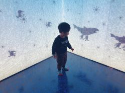 -幻贝家儿童乐园(苏州中心店)