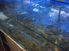 -鼓歌海鲜舫·手抓海鲜(大学城店)