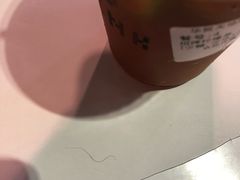 -HALO COFFEE(华贸店)