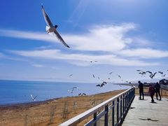 -青海湖国家重点风景名胜区