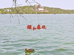 -颐和园