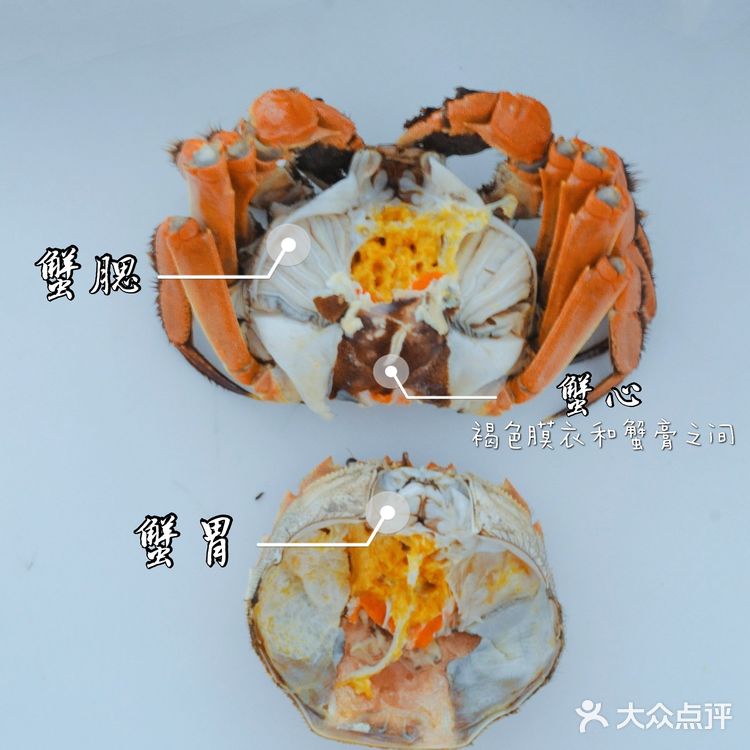 秋天的第一只大闸蟹💥满满的蟹膏终于来了‼️