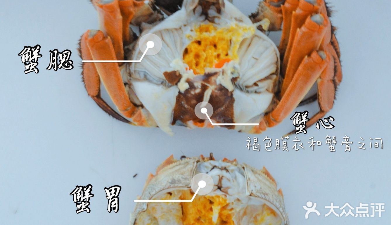 秋天的第一只大闸蟹💥满满的蟹膏终于来了‼️