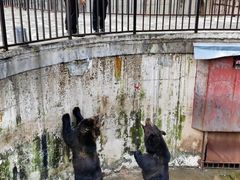 -哈尔滨北方森林动物园