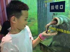 -大连圣亚海洋世界