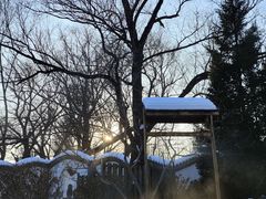-稻香湖景欢乐岛温泉城堡