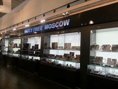 -谢列梅捷沃国际机场