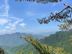 -朱雀国家森林公园